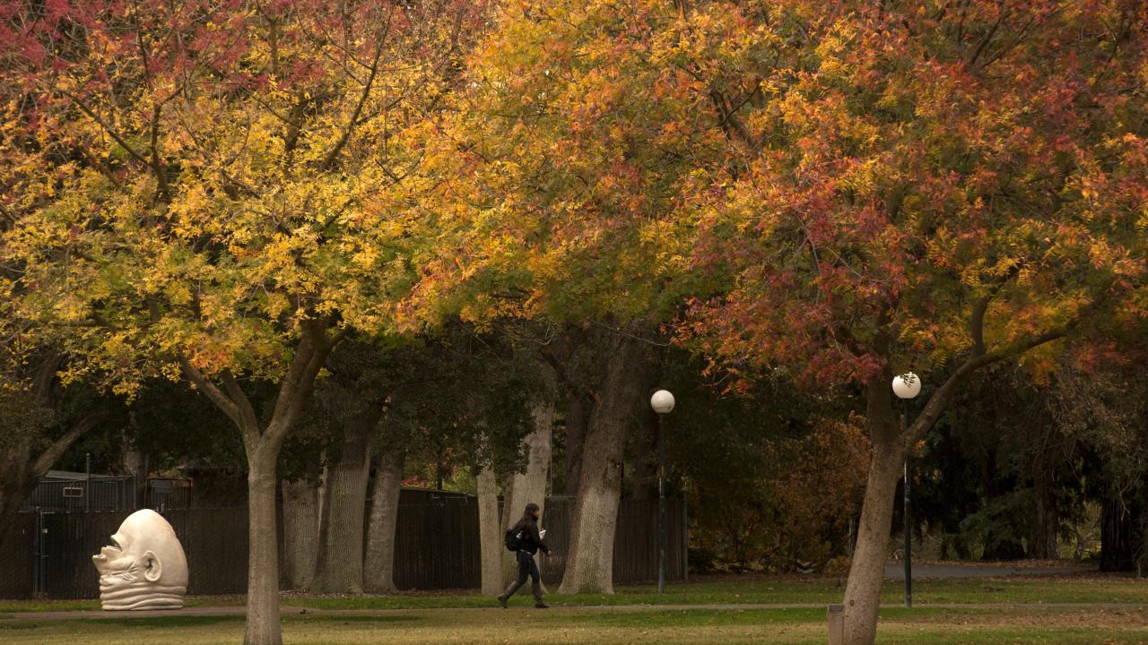 student walking near mrak hall, trees in fall colors